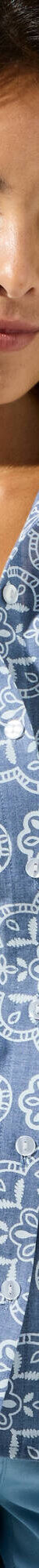 Bedrukte bloes in chambray (blauw) Bedrukte bloes in chambray (blauw)